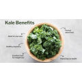 Chinese Kale Extract Green Solution Kale Extract Powder