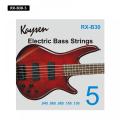 Kaysen 5 String Bass Strings Set