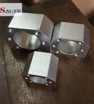 SFU20 Ball Screw Nut Bracket Housing Unit DSG20H