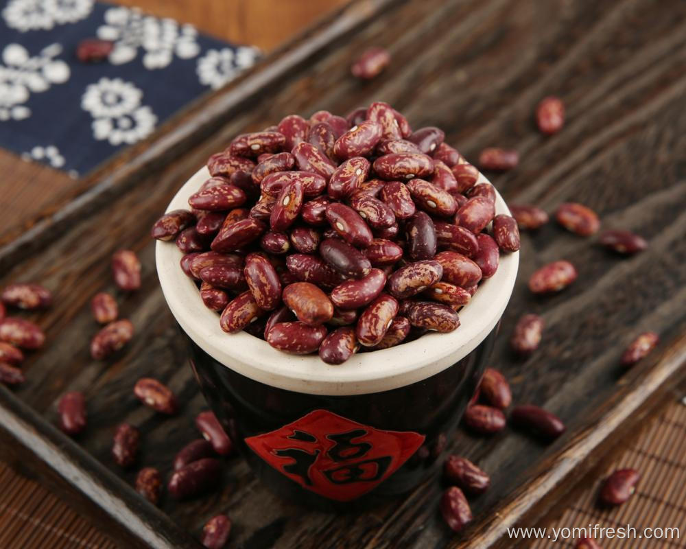 Kidney Beans 100G