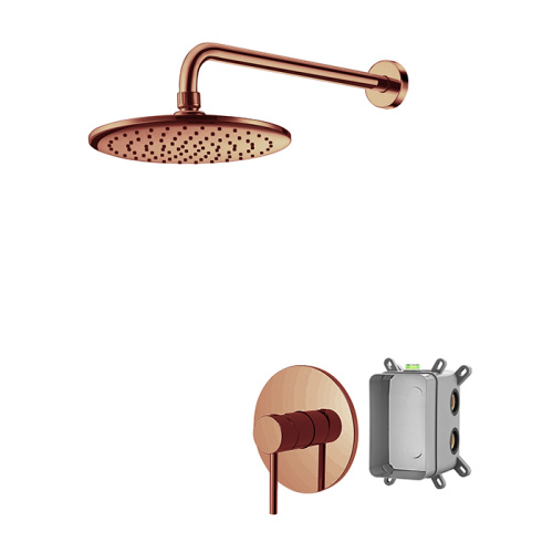 shower faucet system Brushed Nickel Shower Head Sets Factory