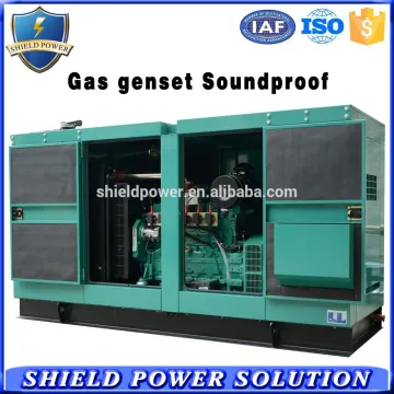 20% Off Super Silent Biogas Generator, Soundproof Gas Generator Set