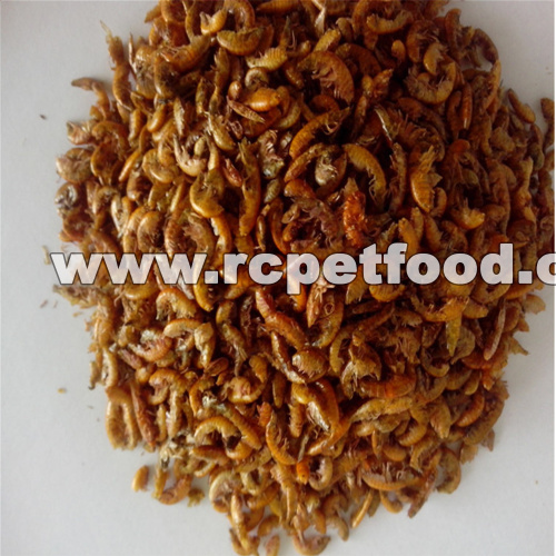 Microwave Dried Gammarus Gammarus for Reptiles