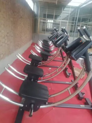 Wholesale Fitness Gym Equipment: AB Coster Abdominal Coaster Trainer