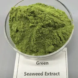 Biostimulant Organic Seaweed Extract