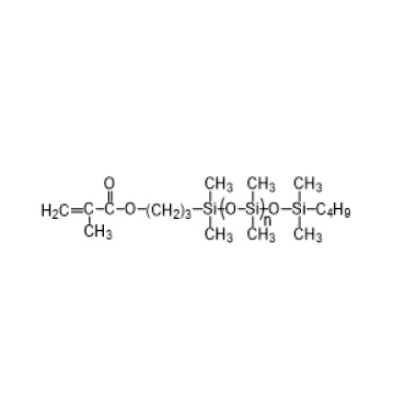 মনো-মেথাক্রাইলেট বন্ধ করা PDMS