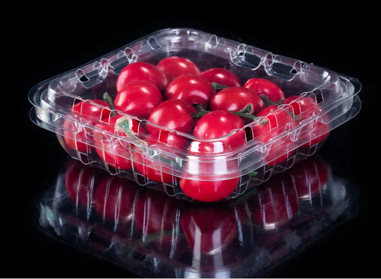 Blueberry punnet plastic clear Packaging