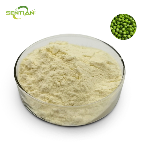 High-Quality Plant Extract Protein Source