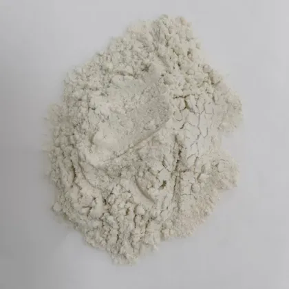 2-Chloro-6-methoxypyridin-4-amine