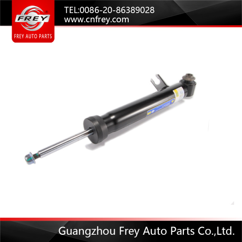 Shock Absorber R 33526867866 for F15