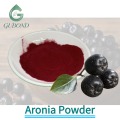 Высушенный распылением порошок аронии для приготовления функциональных пищевых продуктов