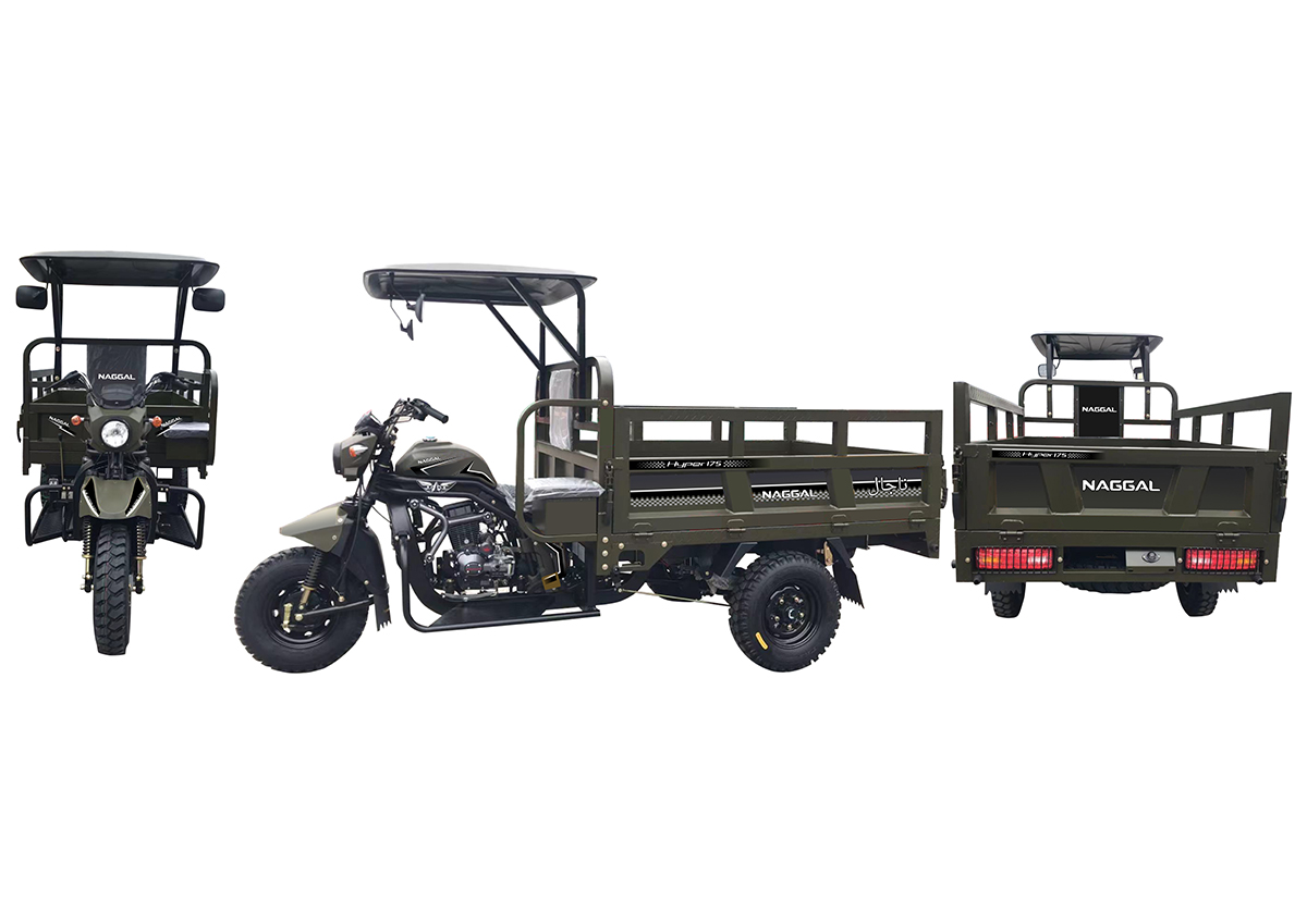 High-end passenger three-wheeled motorcycle High-end passenger three-wheeled motorcycle