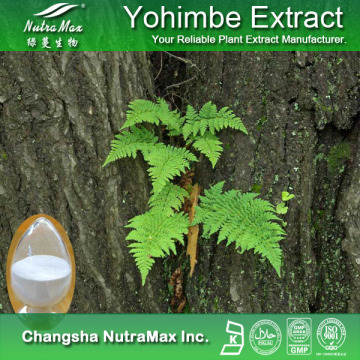 100% Natural Corynante Yohimbe/Yohimbine Bark Extract (8%98% Yohimbines HCl)