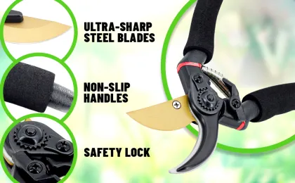Professional Garden Tools: Exploring High-Quality Scissors, Pruners, and Titanium Tree Pruners