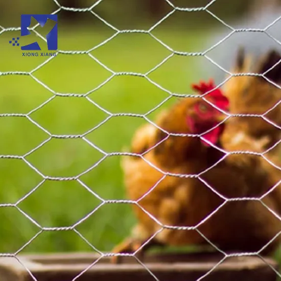 Galvanized Hexagonal Wire Netting for Poultry Farm Fencing