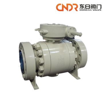 Precision Engineered Forged Fixed Ball Valve System