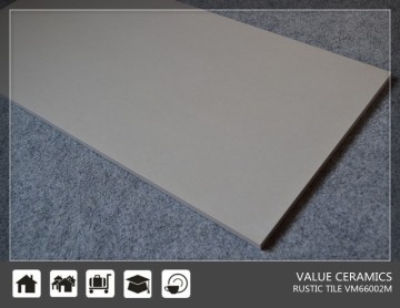 floor ceramic tiles 60x60