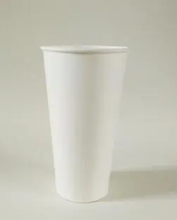 20oz Custom Disposable Hot Drinks Coffee Paper Cups