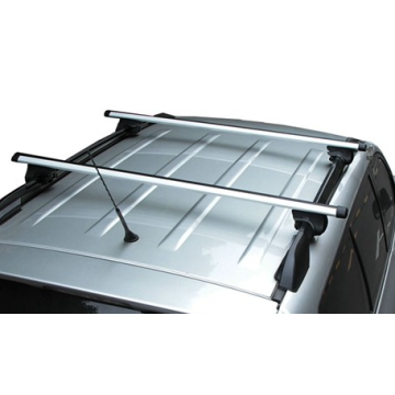 طلاء مسحوق رف سقف السيارة