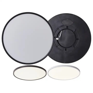 Luce a soffitto a LED rotondo a LED rotondo di alta qualità da 2 cm