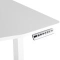 Height Adjustable Electric Standing Desk