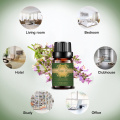 Миқдори равғани эфирии Sage Sears барои Diffuser массаж