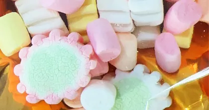 Mini Household Vacuum Freeze Dryer Machine for Candy