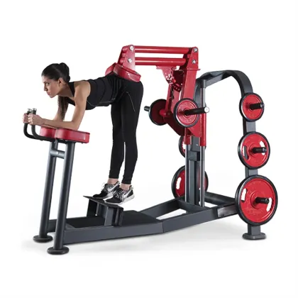 Ganas plate loaded Donkey Calf