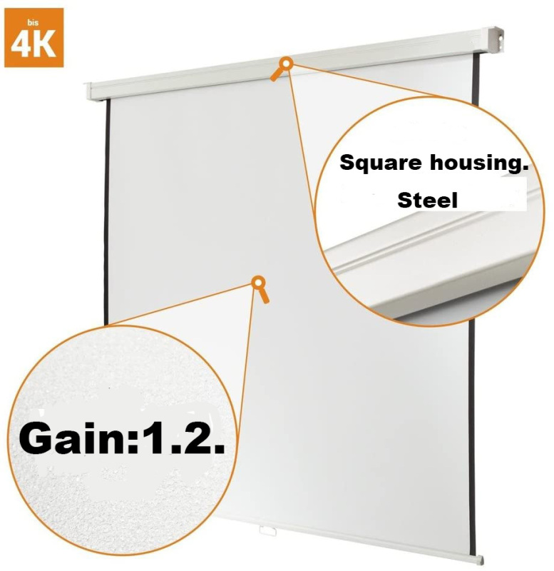Ceiling mount portable outdoor price of projector screen