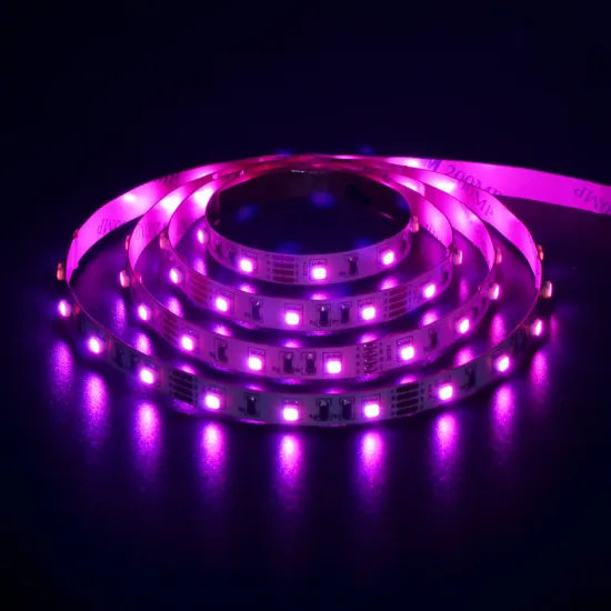 Colorful DC24V SMD3528 RGB LED Strip Light