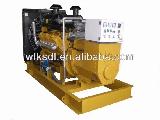 Weifang 100KW CNG generator