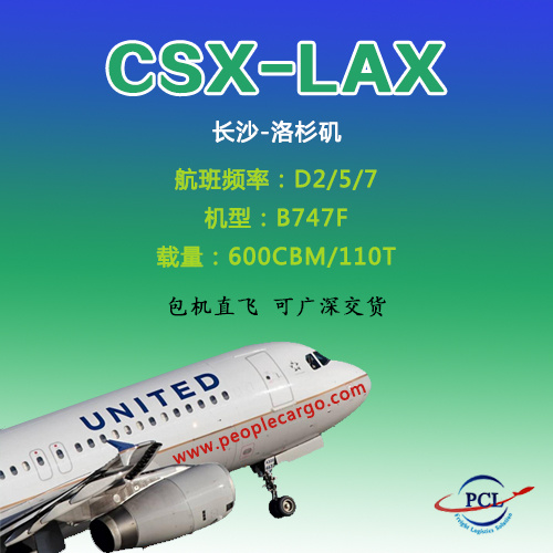 Door to door  Air freight/shipping/Amazon/freight forwarder to America