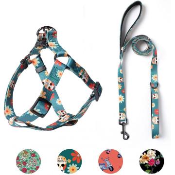 Dog Harness &amp; Leash Conjunto Ajustável Resistente Não Pull Dog Harnesses