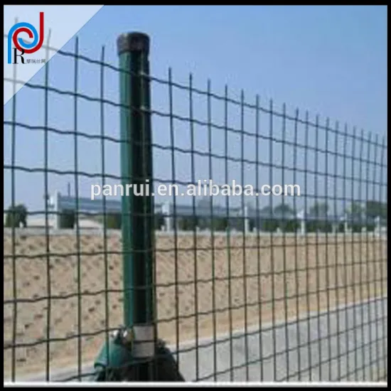 Anping Panrui Decorative Long Lasting Euro Fence factory