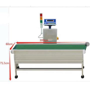 ZDE hohe Genauigkeit Dynamische Skala -Förderburder Checkweigher