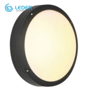 LEDER Aluminum Wall Mounted 36W Outdoor Wall Light
