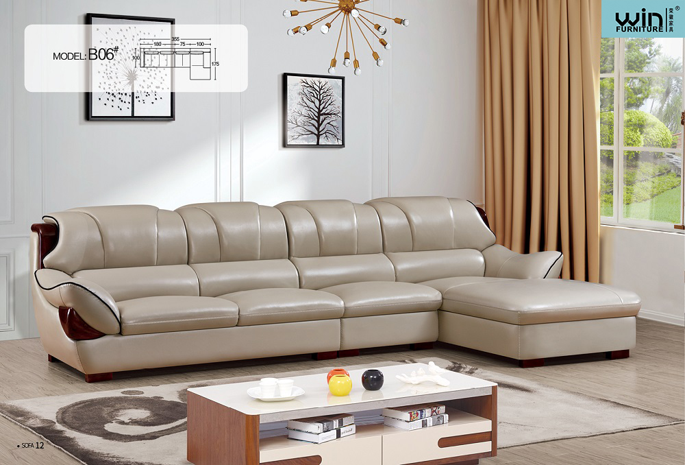 Living Room Sofa