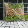 Plettri da cocktail decorativi in ​​bambù per frutta e feste