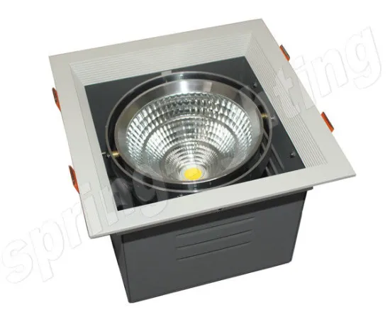 High Lumen 30w Led Beans Gall Light , Led Down Light Fixtures For Park
