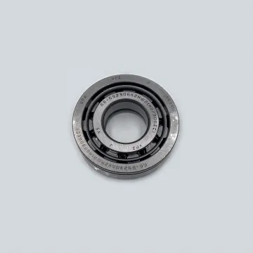 10GPZ 66-692306 K2MSh2 692306 3741-1802082 Single Row Radial Roller Bearing