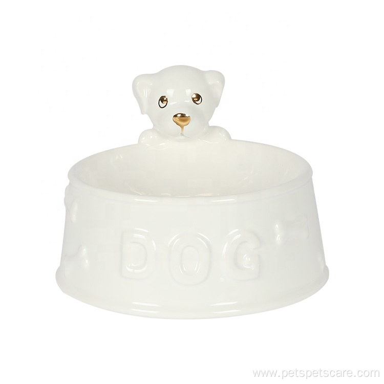 Newest Ceramic Pet Bowl for Eating and Drinking