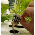 Skyplant Hydroponics System Ev için dikey yetiştirme sistemi