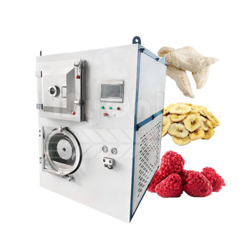 Mini Instant Coffee & Food Freeze Dryer Machine - Scorpion Venom Sublimation Dryer