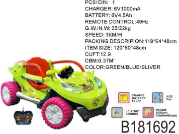 Remote Control Ride On Toy