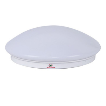 Emergency ceiling lamp | ceiling lamp | emergency induction lamp | emergency induction ceiling lamp | fire ceiling lamp