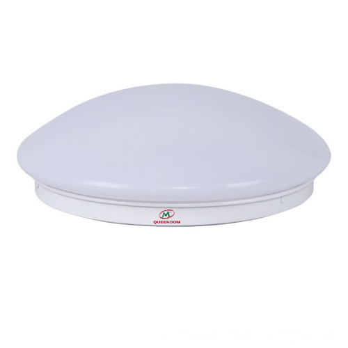 Emergency ceiling lamp | ceiling lamp | emergency induction lamp | emergency induction ceiling lamp | fire ceiling lamp