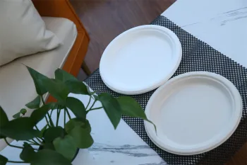 Disposable Party Paper Plate 7 inch