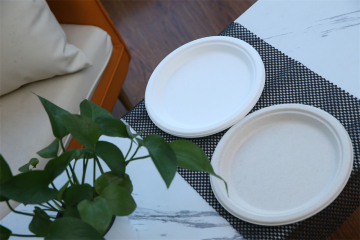 Disposable Party Paper Plate 7 inch