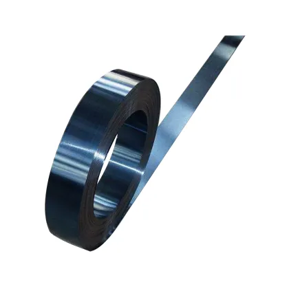 Tudor Strap Strip Carbon Steel Belt Seal Durable Steel Strips