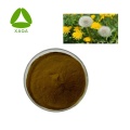 Dandelion Root Extract 10% Flavonoids Powder